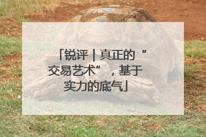 锐评｜真正的“交易艺术”，基于实力的底气