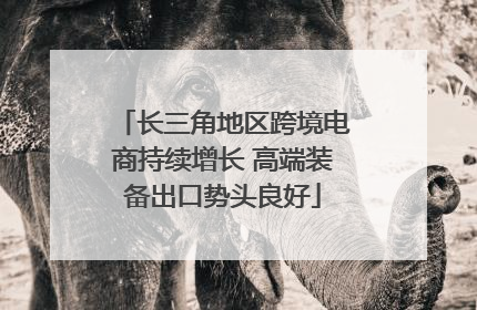长三角地区跨境电商持续增长 高端装备出口势头良好