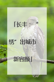 长丰：“绣”出城市新容颜