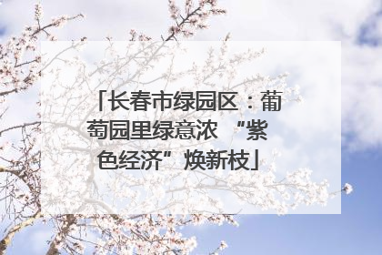长春市绿园区：葡萄园里绿意浓 “紫色经济”焕新枝