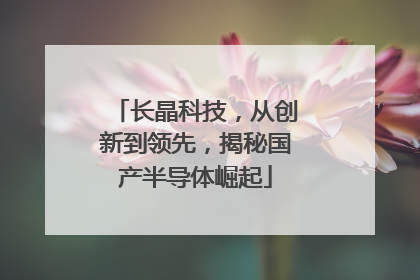 长晶科技，从创新到领先，揭秘国产半导体崛起