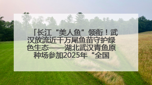 长江“美人鱼”领衔！武汉放流近千万尾鱼苗守护绿色生态——湖北武汉青鱼原种场参加2025年“全国放鱼日”增殖放流活动