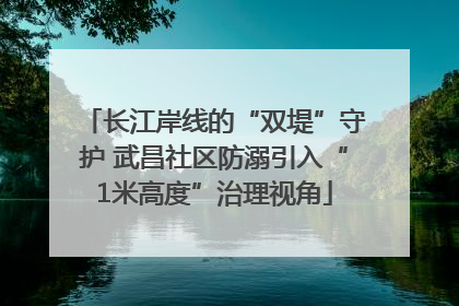 长江岸线的“双堤”守护 武昌社区防溺引入“1米高度”治理视角