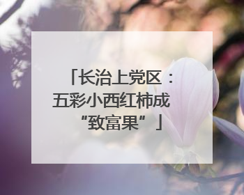 长治上党区：五彩小西红柿成“致富果”