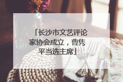 长沙市文艺评论家协会成立，曹隽平当选主席
