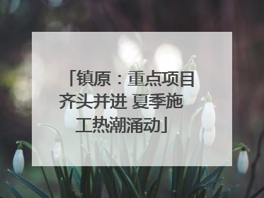 镇原：重点项目齐头并进 夏季施工热潮涌动