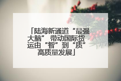 陆海新通道“最强大脑” 带动国际货运由“智”到“质”高质量发展