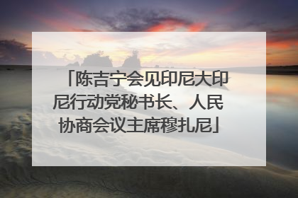 陈吉宁会见印尼大印尼行动党秘书长、人民协商会议主席穆扎尼