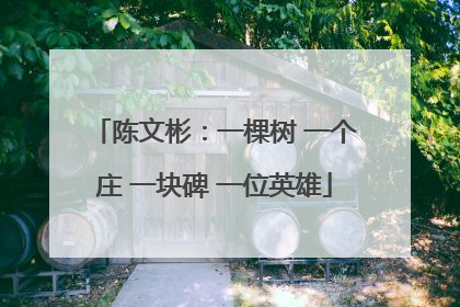 陈文彬：一棵树 一个庄 一块碑 一位英雄