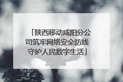 陕西移动咸阳分公司筑牢网络安全防线守护人民数字生活