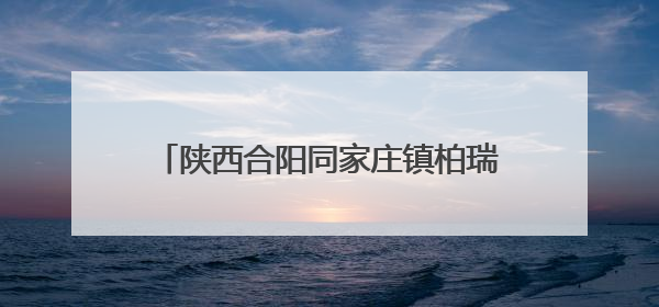 陕西合阳同家庄镇柏瑞社区：百亩杏园迎丰收 果农走上“杏”福路