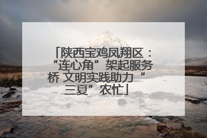 陕西宝鸡凤翔区：“连心角”架起服务桥 文明实践助力“三夏”农忙