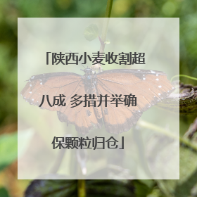 陕西小麦收割超八成 多措并举确保颗粒归仓