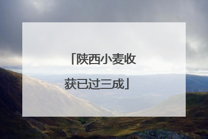 陕西小麦收获已过三成