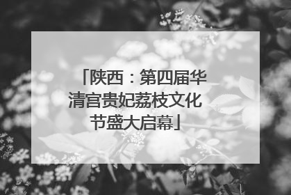 陕西：第四届华清宫贵妃荔枝文化节盛大启幕