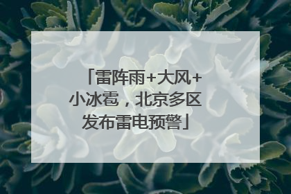 雷阵雨+大风+小冰雹，北京多区发布雷电预警