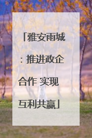 雅安雨城：推进政企合作 实现互利共赢