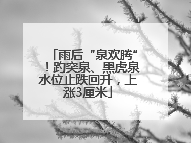 雨后“泉欢腾”！趵突泉、黑虎泉水位止跌回升，上涨3厘米