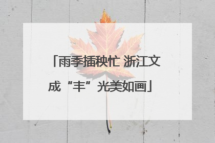 雨季插秧忙 浙江文成“丰”光美如画