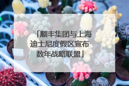 顺丰集团与上海迪士尼度假区宣布数年战略联盟