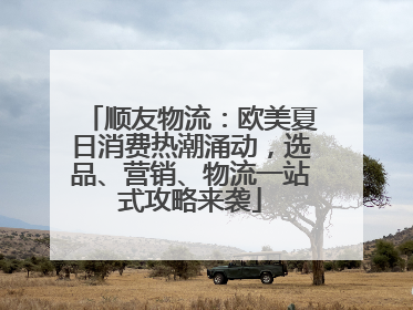 顺友物流：欧美夏日消费热潮涌动，选品、营销、物流一站式攻略来袭
