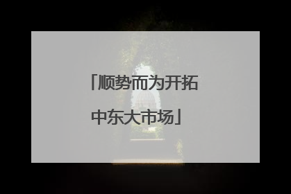 顺势而为开拓中东大市场