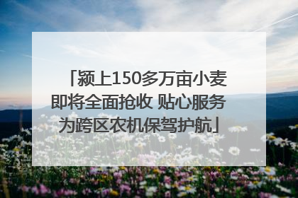 颍上150多万亩小麦即将全面抢收 贴心服务为跨区农机保驾护航