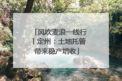 风吹麦浪一线行丨定州：土地托管带来稳产增收