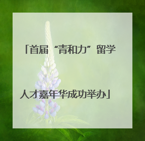 首届“青和力”留学人才嘉年华成功举办