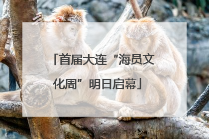 首届大连“海员文化周”明日启幕
