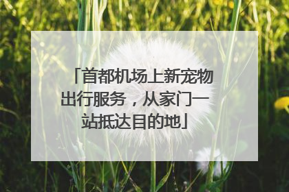 首都机场上新宠物出行服务，从家门一站抵达目的地