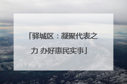 驿城区：凝聚代表之力 办好惠民实事