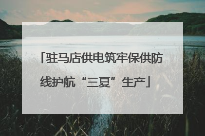 驻马店供电筑牢保供防线护航“三夏”生产