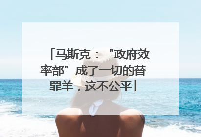 马斯克：“政府效率部”成了一切的替罪羊，这不公平
