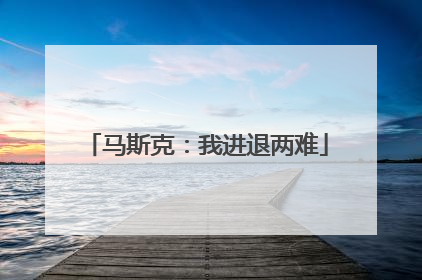 马斯克：我进退两难