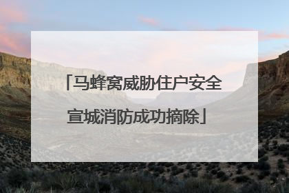 马蜂窝威胁住户安全 宣城消防成功摘除