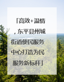 高效+温情，东平县州城街道便民服务中心打造为民服务新标杆