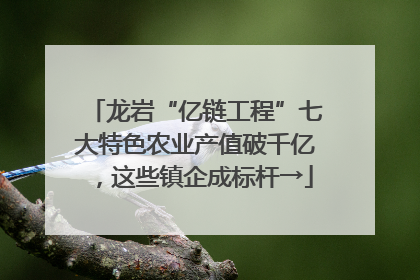 龙岩“亿链工程”七大特色农业产值破千亿，这些镇企成标杆→