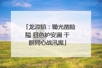 龙潭镇：锄光凿险隘 昼色护安澜 干群同心战汛魔