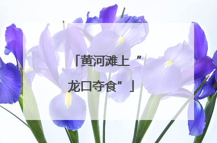 黄河滩上“龙口夺食”