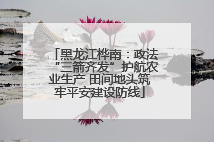 黑龙江桦南：政法“三箭齐发”护航农业生产 田间地头筑牢平安建设防线