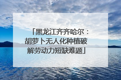 黑龙江齐齐哈尔：胡萝卜无人化种植破解劳动力短缺难题
