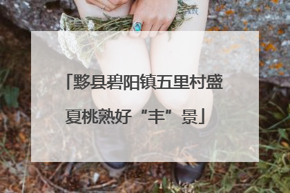 黟县碧阳镇五里村盛夏桃熟好“丰”景