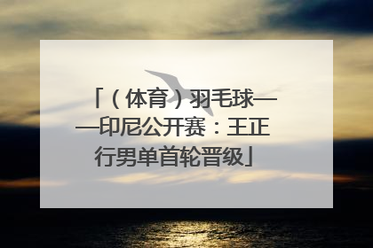 （体育）羽毛球——印尼公开赛：王正行男单首轮晋级