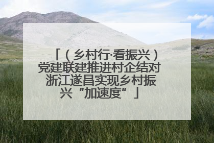 （乡村行·看振兴）党建联建推进村企结对 浙江遂昌实现乡村振兴“加速度”