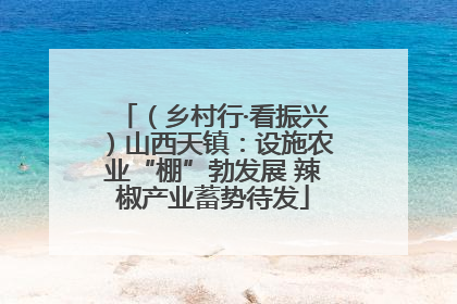 （乡村行·看振兴）山西天镇：设施农业“棚”勃发展 辣椒产业蓄势待发