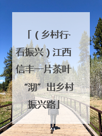 （乡村行·看振兴）江西信丰一片茶叶“沏”出乡村振兴路