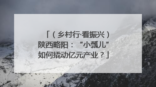 （乡村行·看振兴）陕西略阳：“小瓢儿”如何撬动亿元产业？
