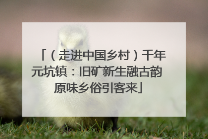 （走进中国乡村）千年元坑镇：旧矿新生融古韵 原味乡俗引客来
