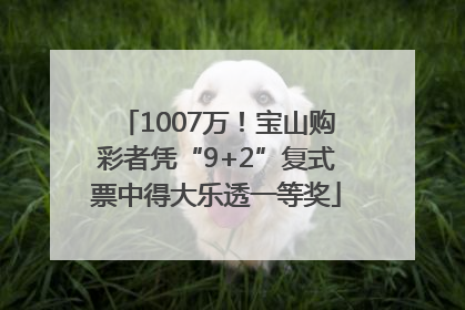 1007万！宝山购彩者凭“9+2”复式票中得大乐透一等奖